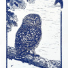 Yvette Schoenmakers: Passage - Athene noctua (2026), linodruk 5/50; 6/50; 7/50, 35 x 26 cm. 125 euro (oningelijst)