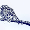 Yvette Schoenmakers: Jonge mus (2024), linodruk 16/100; 17/100; 21/100, 16 x 30 cm. 40 euro (oningelijst)