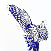 Yvette Schoenmakers: Torenvalk in vlucht (2025), linodruk, 36 x 29 cm. 45 euro (oningelijst)