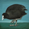 Yvonne Zomerdijk: Meerkoet (2024) acryl op paneel, 10 x 10 cm. 85 euro