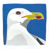 Yvonne Zomerdijk: Meeuw (2025), linoleumdruk 4/24, 21 x 21 cm. 75 euro