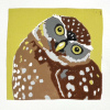 Yvonne Zomerdijk: Steenuil (2026), linoleumdruk 3/11, 22 x 22 cm. 75 euro